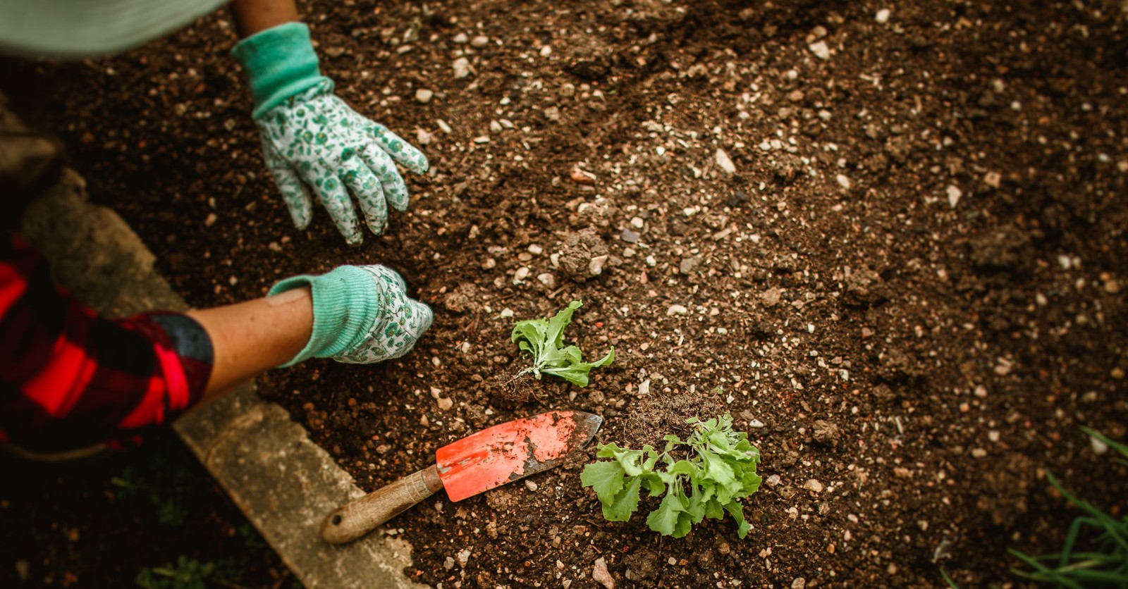 Tuinhandschoenen en Tuingereedschap van Stalco: Comfort en Kwaliteit voor Elke Tuinier