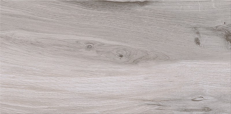 ASHVILLE LIGHT GREY 30x60 G1 W991-002-1