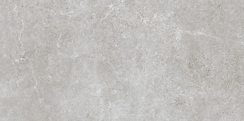 BAREDO GREY MATT RECT 60x120 G1 NT1658-014-1