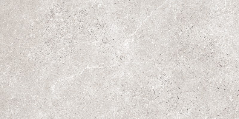 BAREDO LIGHT GREY MATT RECT 60x120 G1 NT1658-015-1