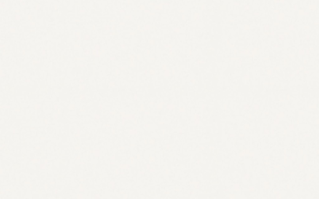 BIANCA WHITE MATT 25X40 W184-002-1