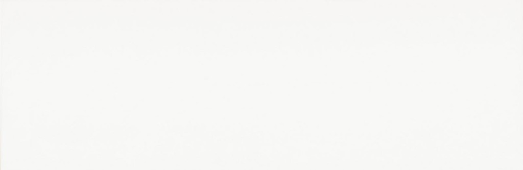 PS901 WHITE GLOSSY RECT 29x89 G1 NT034-001-1