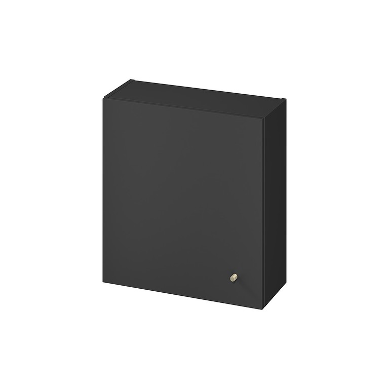 WALL HUNG CABINET FOR WC FRAME LARGA ANTHRACITE S164-040