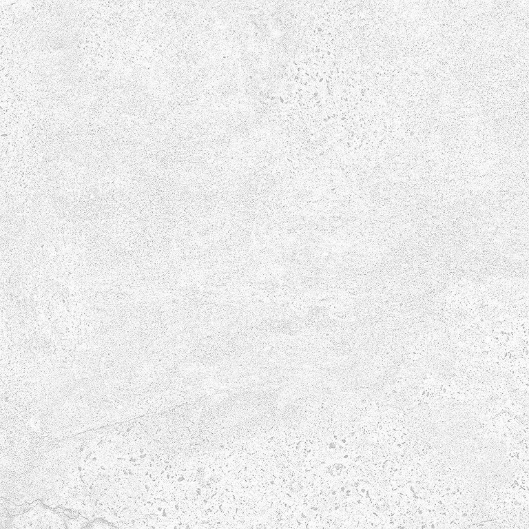 GPT1016 WHITE LAPPATO RECT 60X60 G1