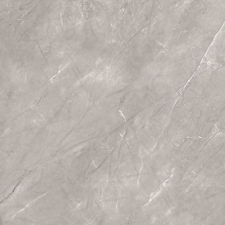 STONE VEINS GREY POLISHED 60X60 G1