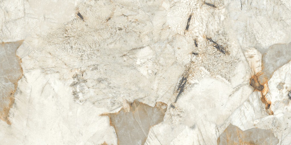 REGIANO GREY POLISHED RECT 60X120 G1