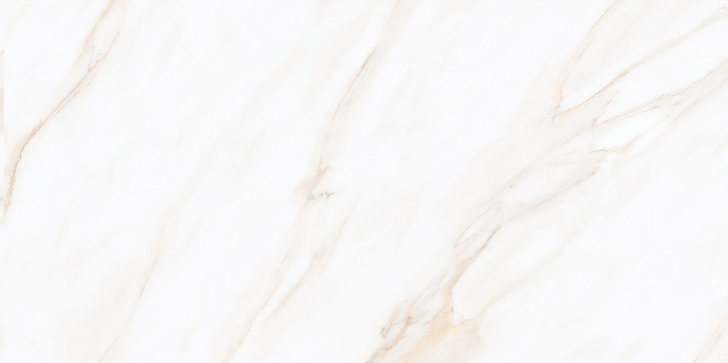 LARIVE BEIGE POLISHED RECT 60X120 G1