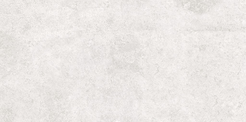 SASIRIO LIGHT GREY POLISHED RECT 60X120 G1