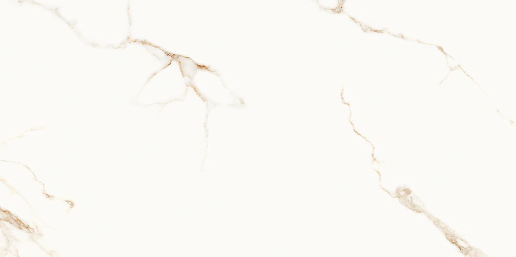 GPT1156 WHITE GOLD LAPPATO SUGAR RECT 60x120 G1 NT1714-001-1