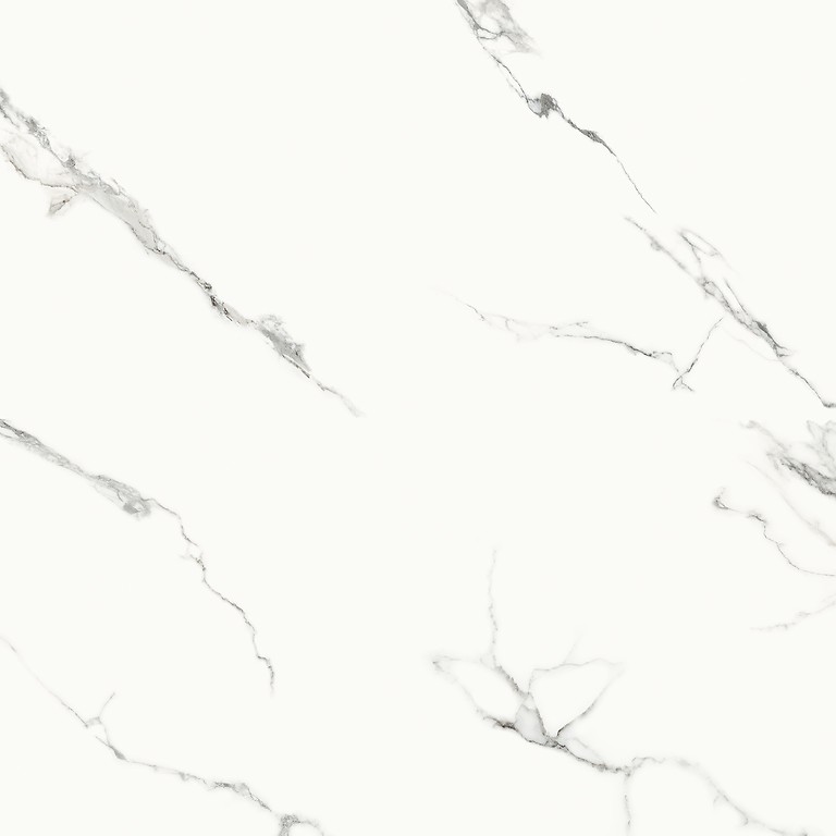 GPT1156 WHITE SILVER LAPPATO SUGAR RECT 120x120 G1 NT1714-006-1