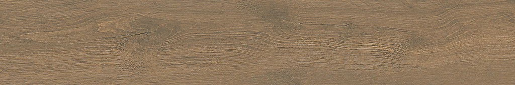 GINGER FOREST BROWN MATT RECT 20X120 G1