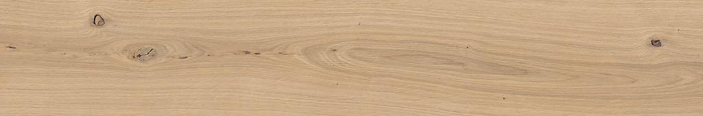 GPT1011 BEIGE MATT RECT 20X120 G1