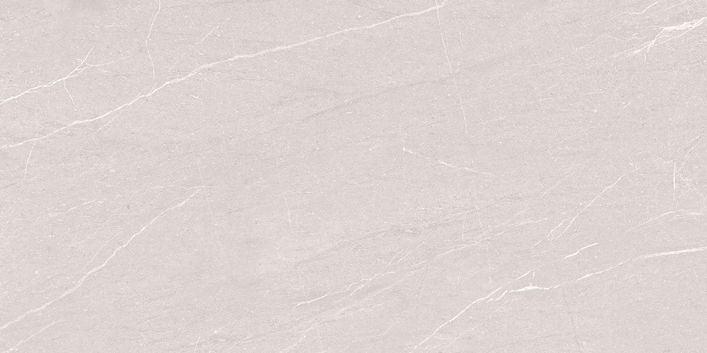 ATHENS LIGHT GREY MATT RECT 60x120 G1 NT062-036-1