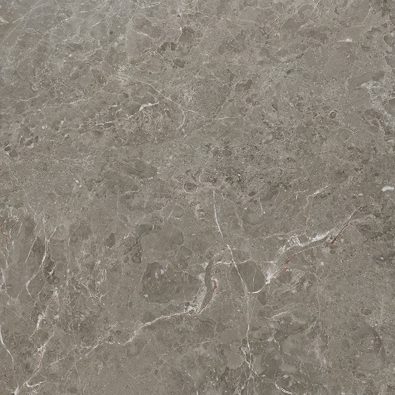 DELIA TAUPE MATT RECT 60x60 G1 W701-012-1