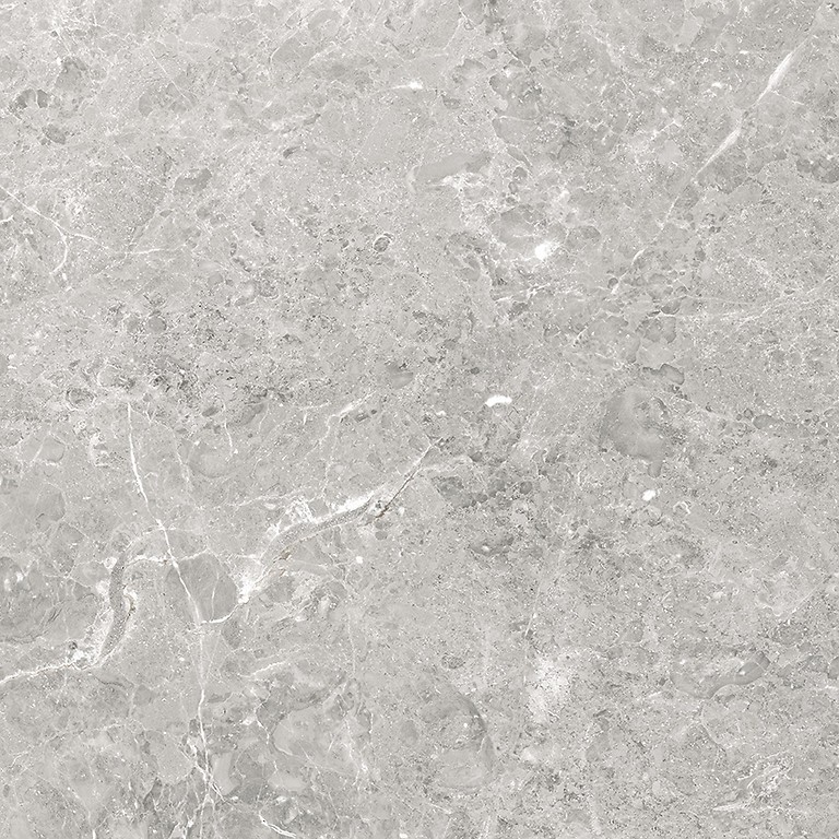 DELIA GREY MATT RECT 60x60 G1 W701-013-1