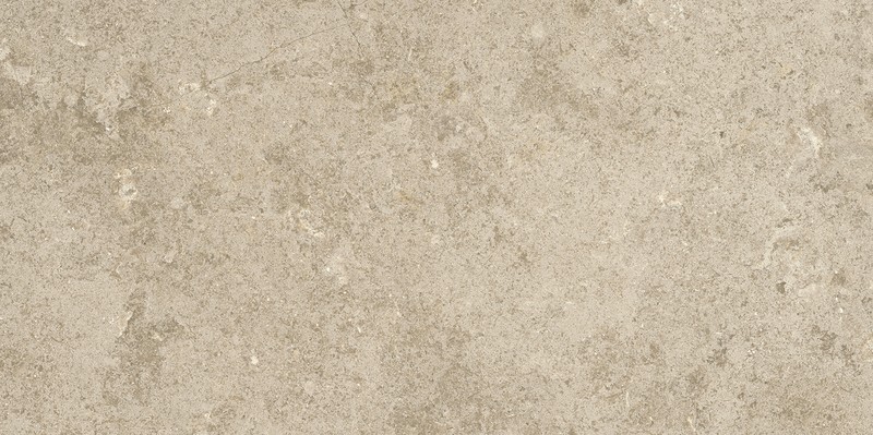 ECO STONERELAX TAUPE MATT RECT 60x120 G1 NT1680-007-1