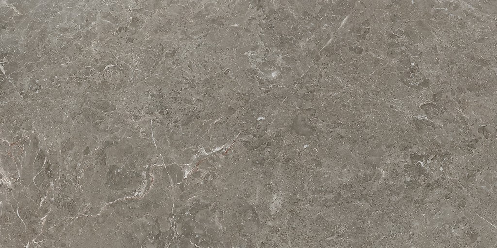 DELIA TAUPE MATT RECT 60x120 G1 W701-018-1