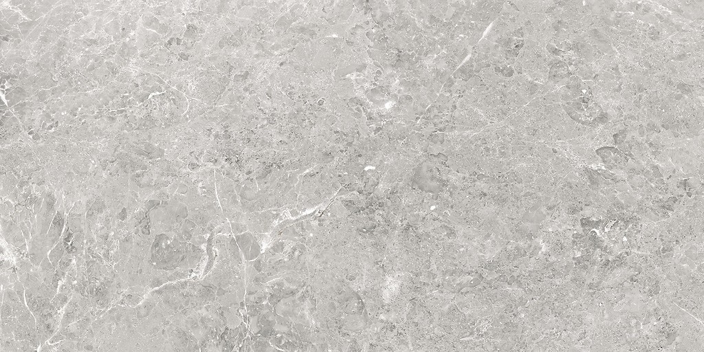 DELIA GREY MATT RECT 60x120 G1 W701-020-1