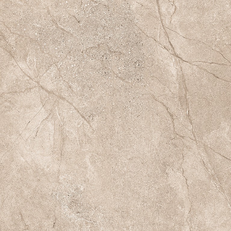 EIDEN MOKA MATT RECT 60x60 G1 NT1723-005-1