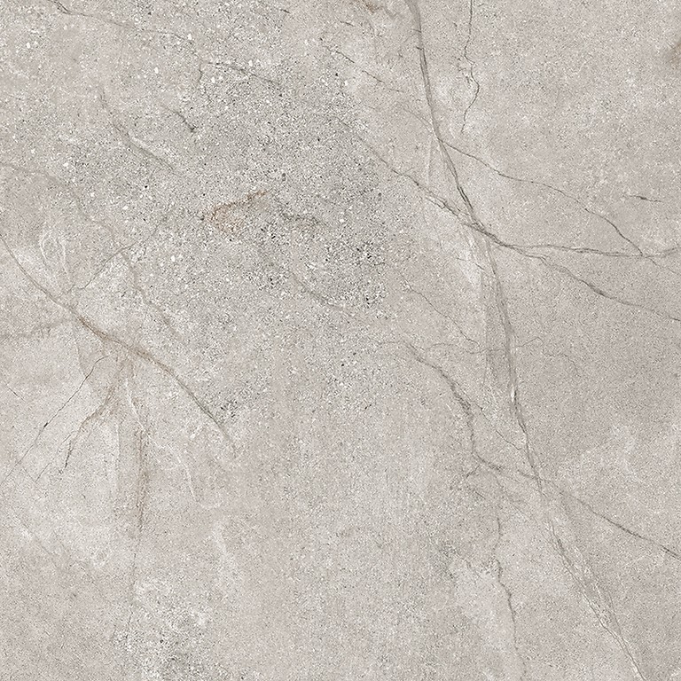 EIDEN LIGHT GREY MATT RECT 60x60 G1 NT1723-006-1