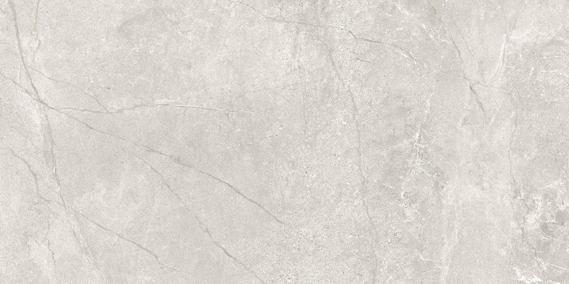 EIDEN PEARL MATT RECT 60x120 G1 NT1723-013-1