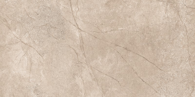 EIDEN MOKA MATT RECT 60x120 G1 NT1723-014-1