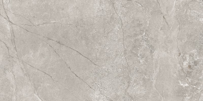 EIDEN LIGHT GREY MATT RECT 60x120 G1 NT1723-015-1