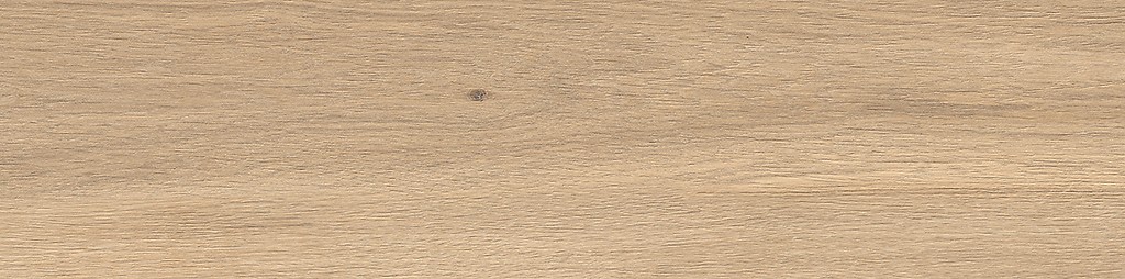 GPT1116 COLD BEIGE MATT RECT 22x89 G1 NT1730-005-1