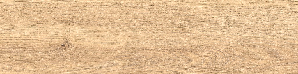 GPT1116 WARM BEIGE MATT RECT 22x89 G1 NT1730-006-1