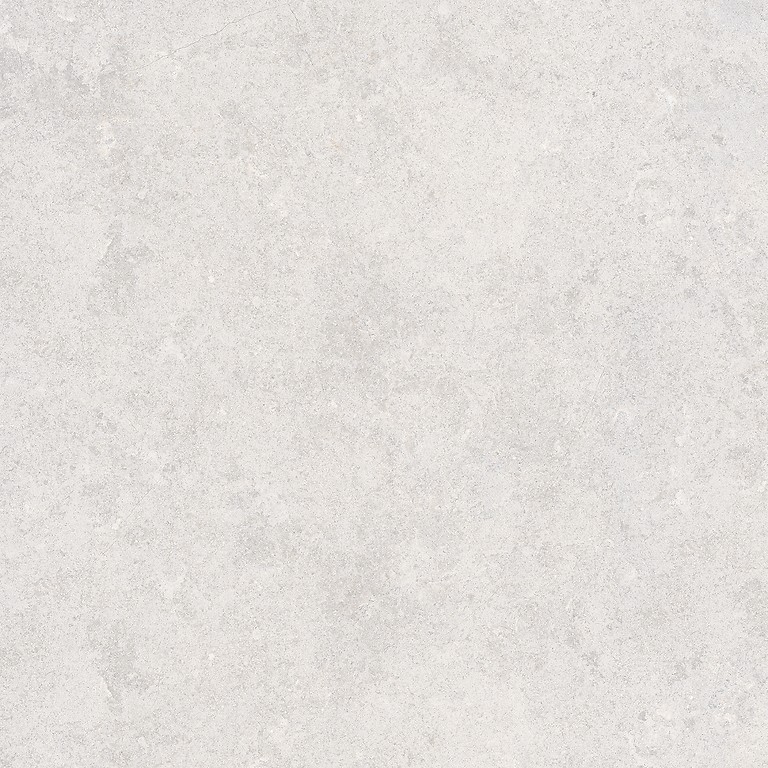 MUSSA LIGHT GREY MATT RECT 120X120 G1