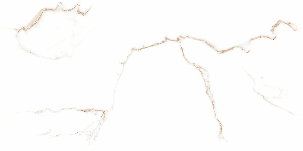 GPT1118 WHITE GOLD MATT RECT 60x120 G1 NT1718-007-1