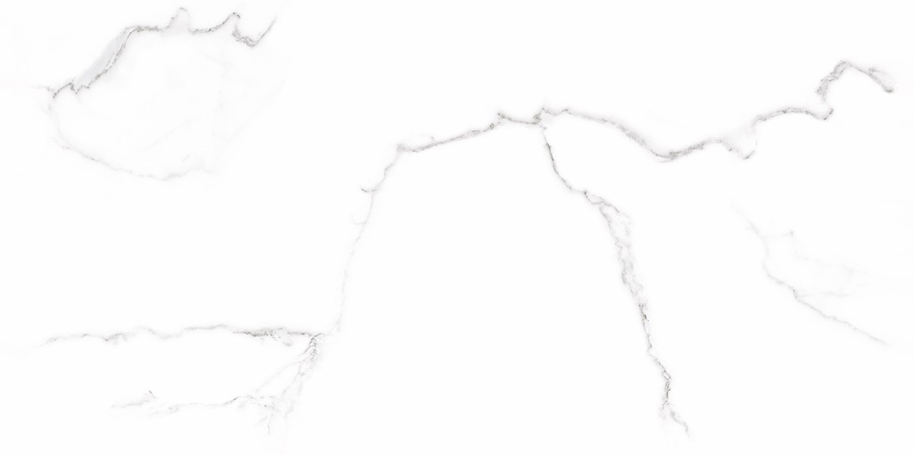 GPT1118 WHITE SILVER MATT RECT 60x120 G1 NT1718-008-1