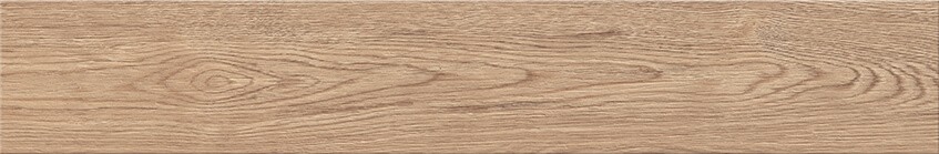 GPT1176 DARK BROWN MATT 10x60 G1 NT1789-003-1