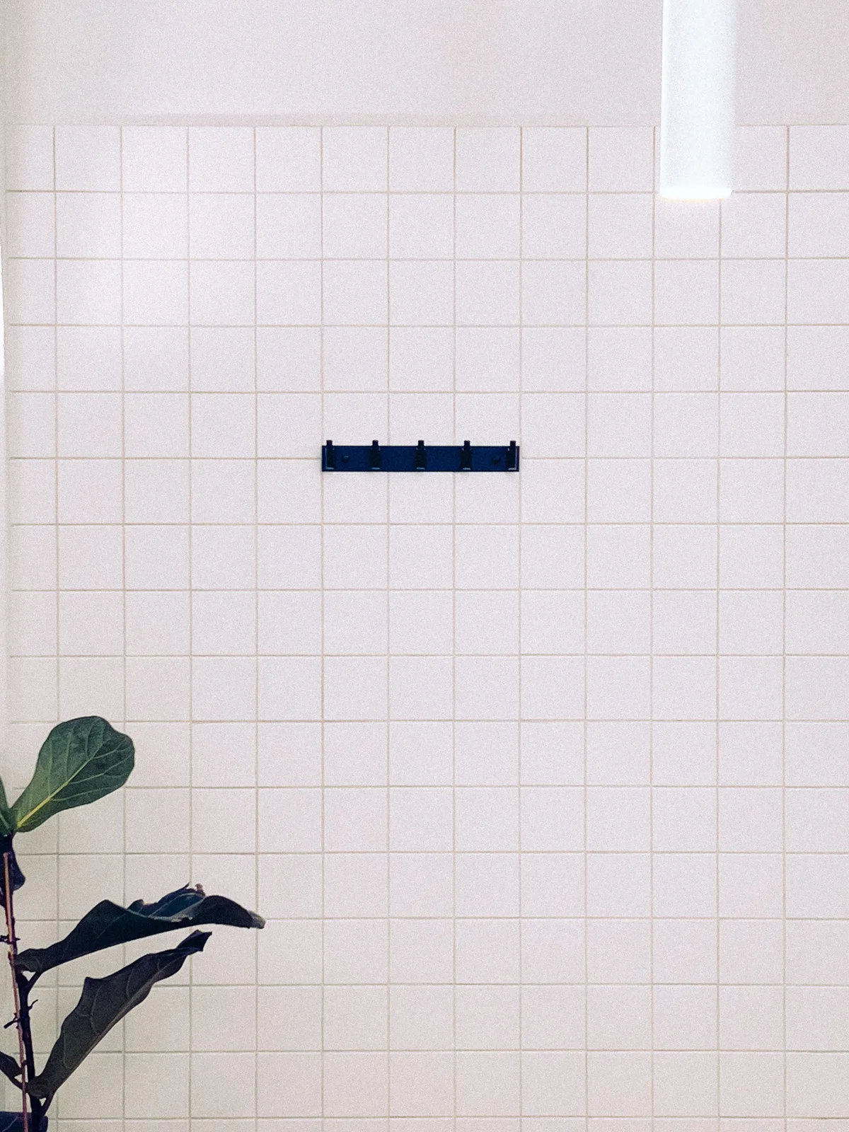 A white tiled wall with small square tiles, a row of hooks and a plant