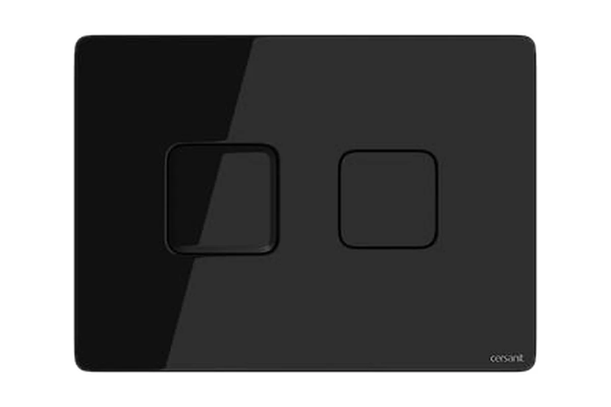 Pneumatic flush buttons