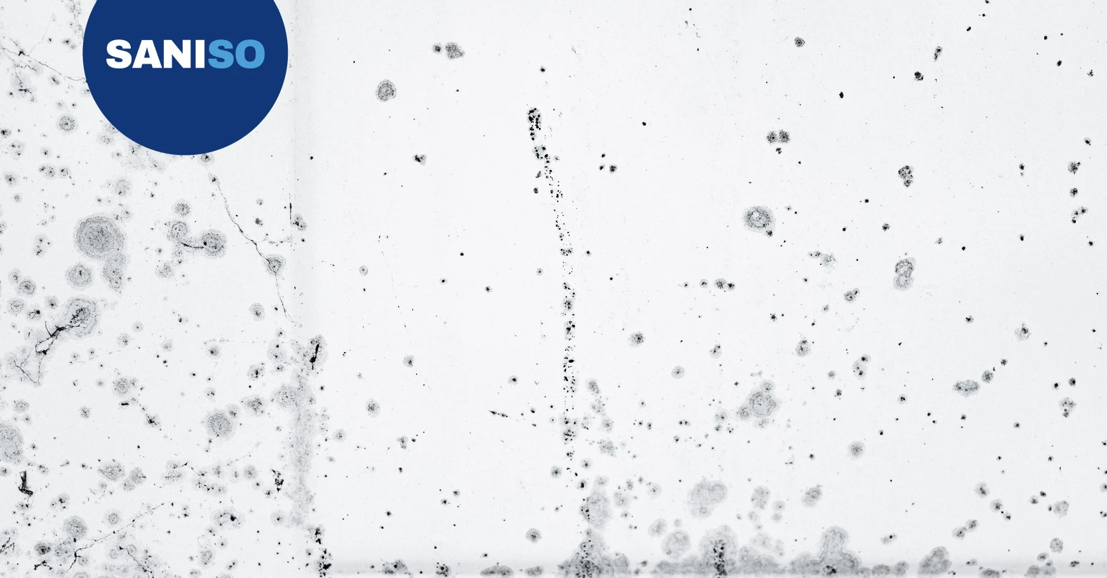 How to remove mould from walls