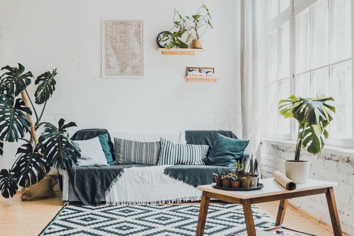Bright living room with many houseplants, a sofa and a large window