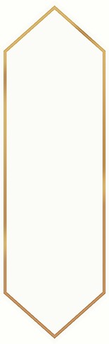 BIG ARROW GOLD DEKOR GLOSSY 13X40