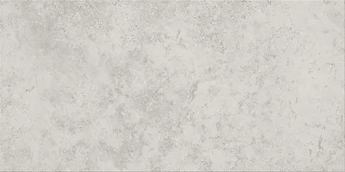 G313 LIGHT GREY 30X60