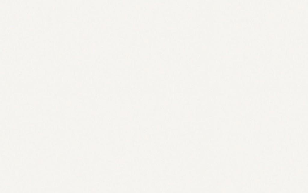 BIANCA WHITE MATT 25X40 W184-002-1