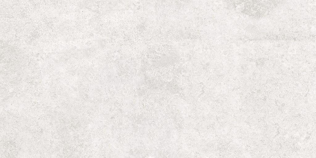 SASIRIO LIGHT GREY POLISHED RECT 60X120 G1 NT1682-001-1