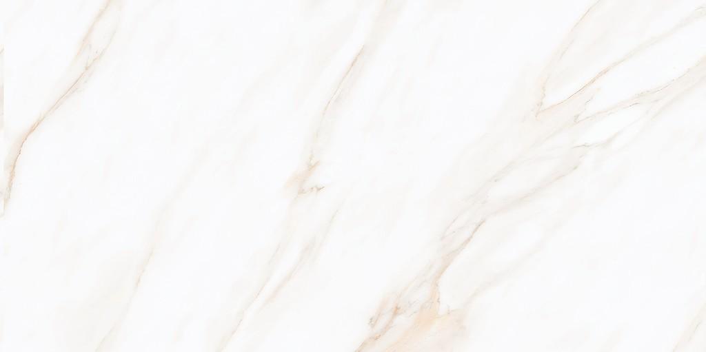 LARIVE BEIGE POLISHED RECT 60X120 G1 NT1631-003-1