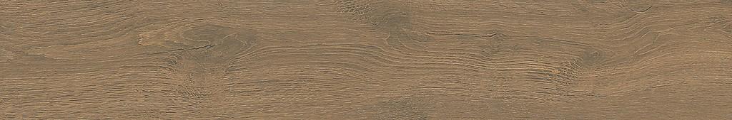 GINGER FOREST BROWN MATT RECT 20X120 G1