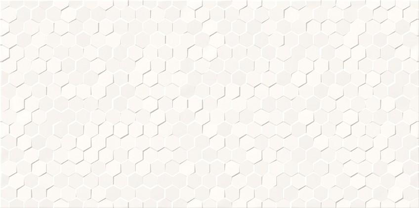 WT1012 WHITE SMALL HEXA STRUCTURE GLOSSY RECT 30X60 G1 NT1305-005-1