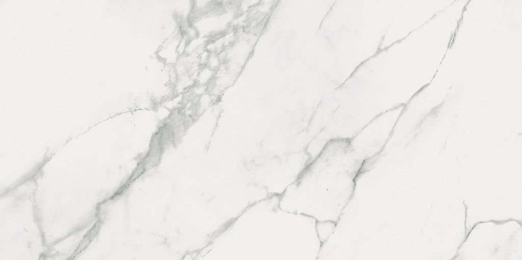 CALACATTA MARBLE WHITE 60X120 OP934-017-1