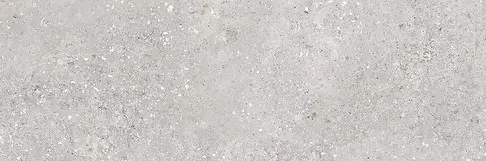 ROCK LEAVES GRYS MATT RECT 40X120 G1 NT1324-001-1