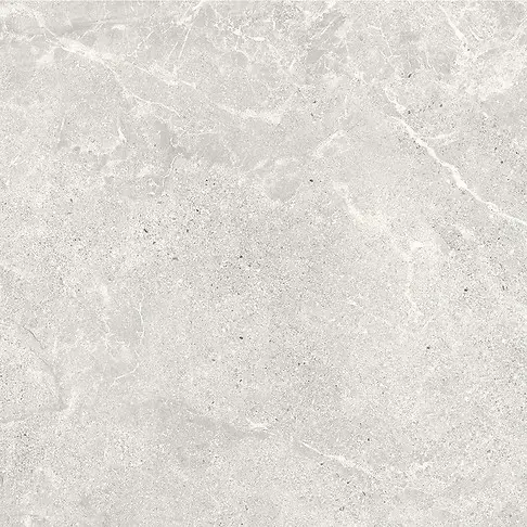 GPT1067 PERLA MATT RECT 60X60 G1 NT1487-008-1