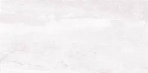 SILVES GRYS GLOSSY 30X60 NT923-001-1