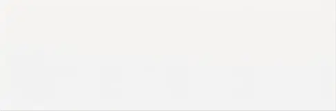 PLAIN WHITE 20X60 NT862-001-1