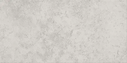 G313 LIGHT GREY 30X60 W835-001-1